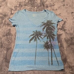 American Eagle Outfitters Blue Speckled T-Shirt